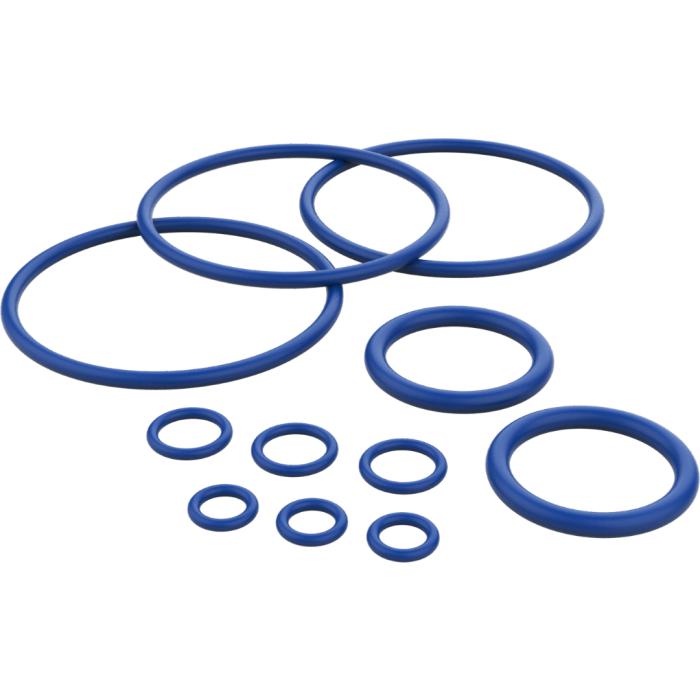 Seal Ring Set-Crystallized Nectar