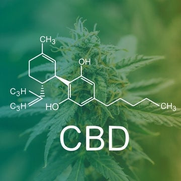 CBD - What it is and its place in the world today-Crystallized Nectar